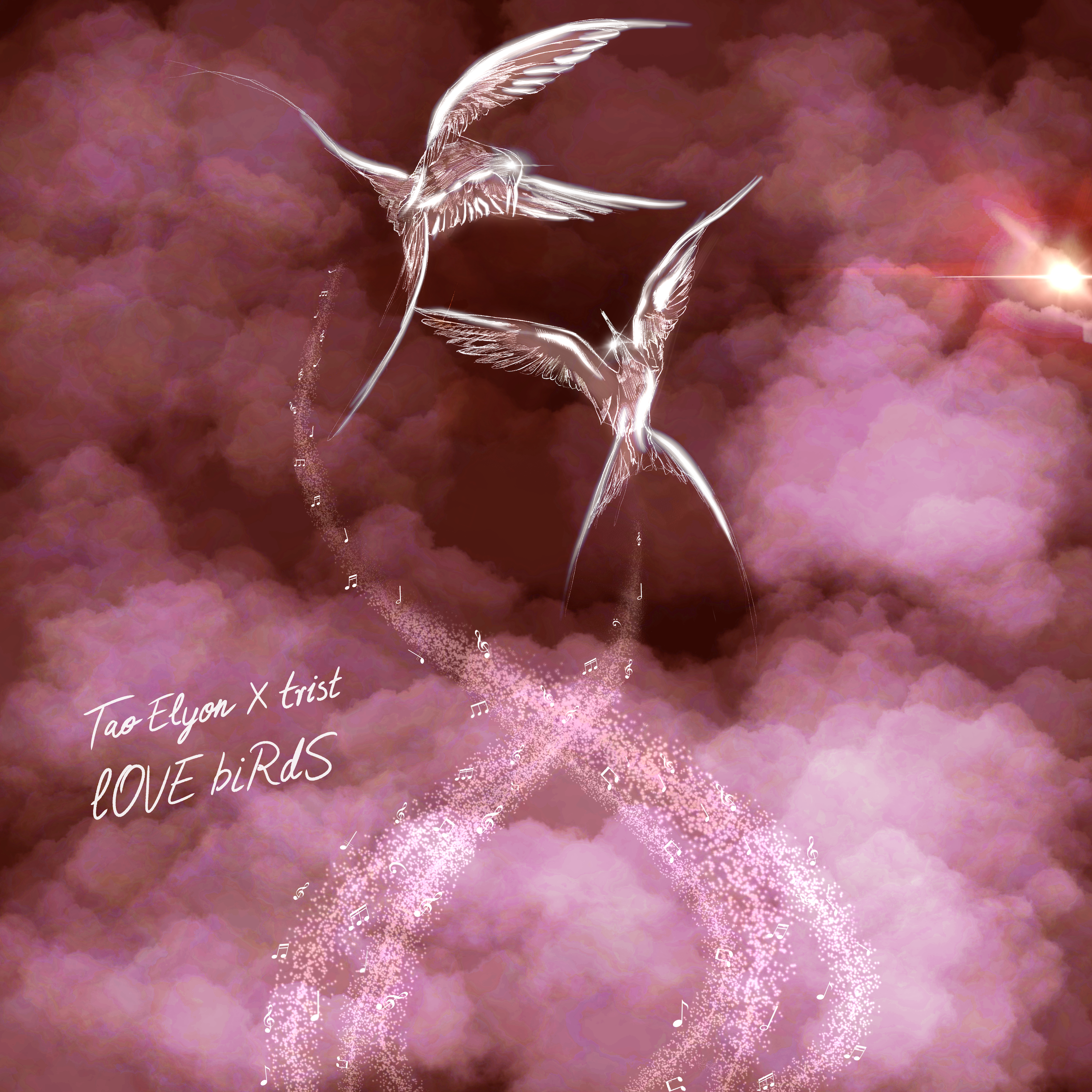 LOVE biRdS cover art